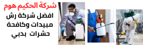 شركة رش مبيدات بدبي