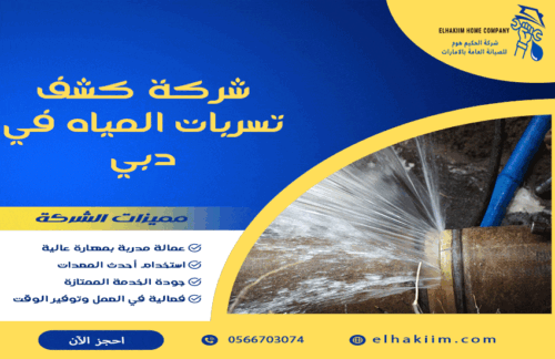 شركة كشف تسربات المياه في دبي